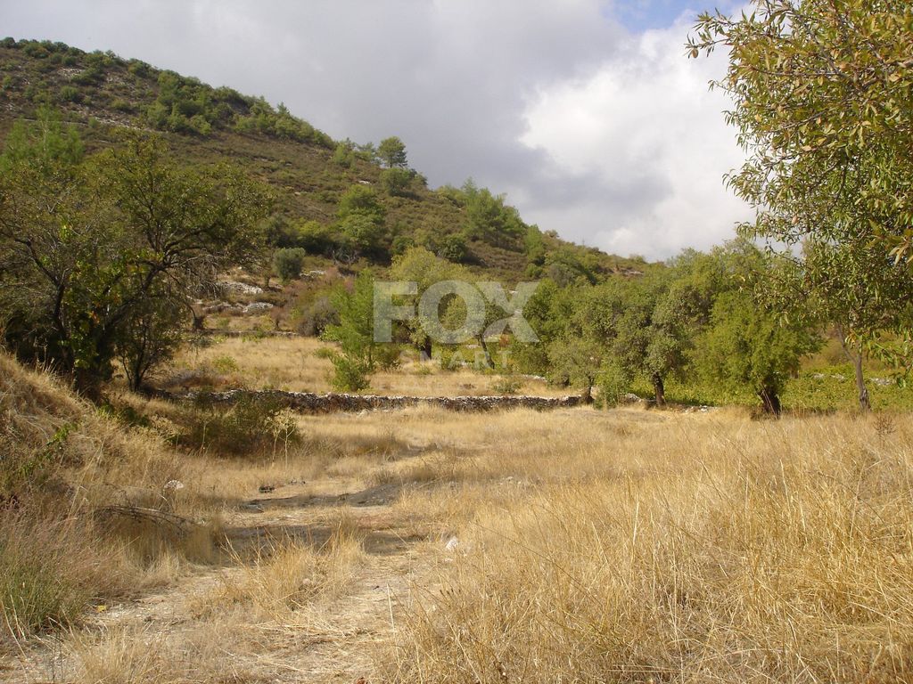 Property photo 1 of 4 Residential Land For Sale In Pera Pedi, Limassol – Excellent