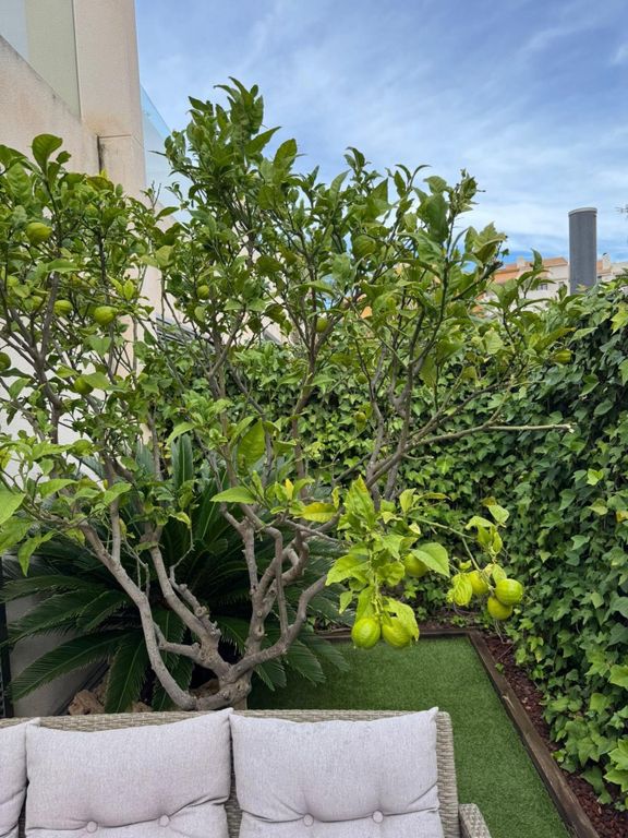 Property photo 3 of 35