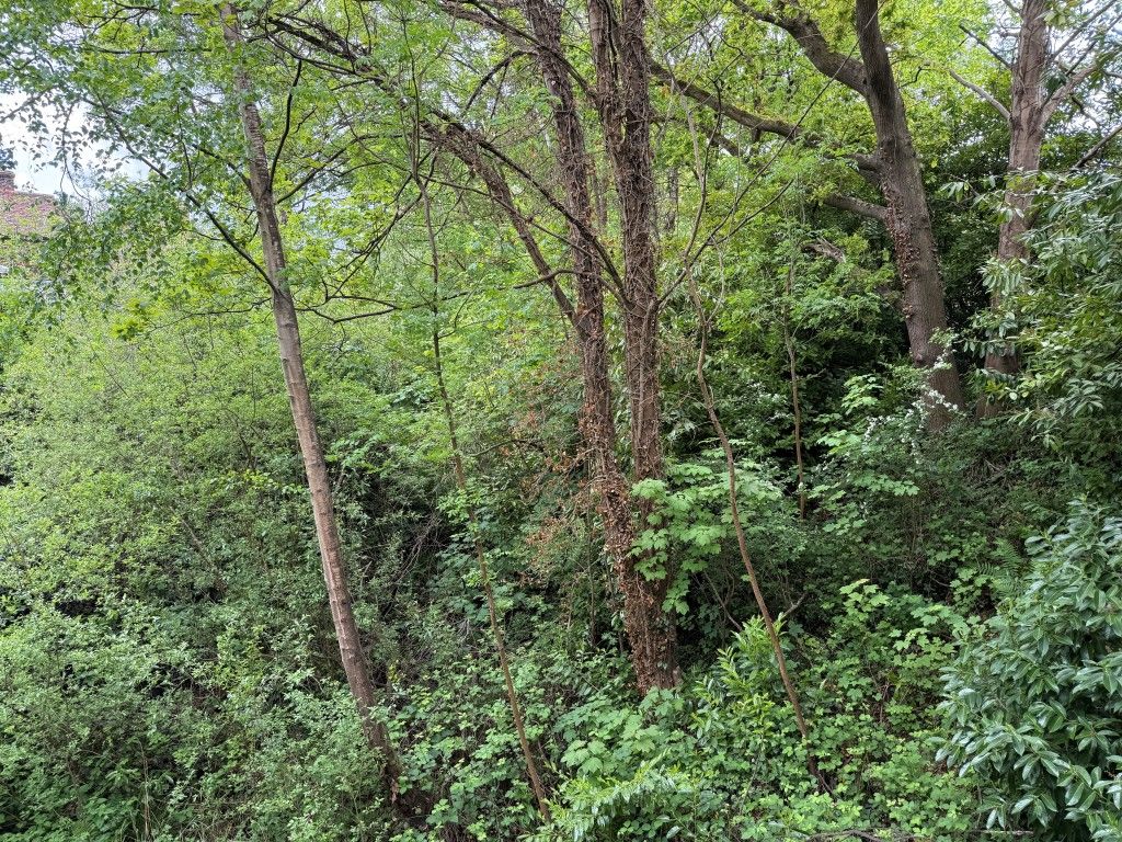 Property photo 2 of 7 View Over Wooded Land