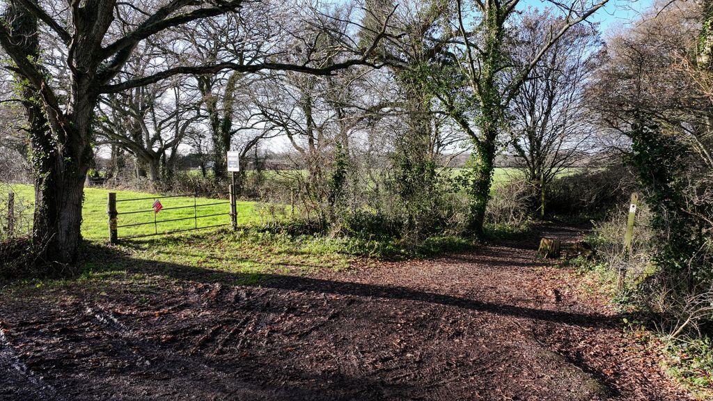 Property photo 2 of 4 Photo 5