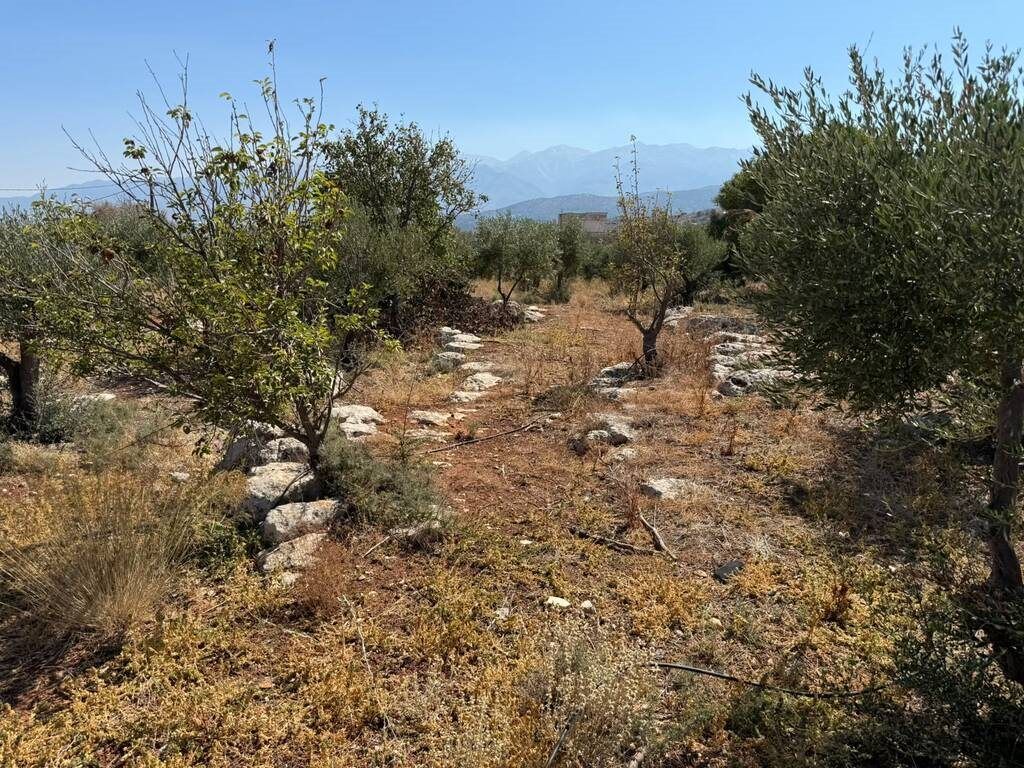 Property photo 1 of 16 For Sale Land 1200 m² In Crete