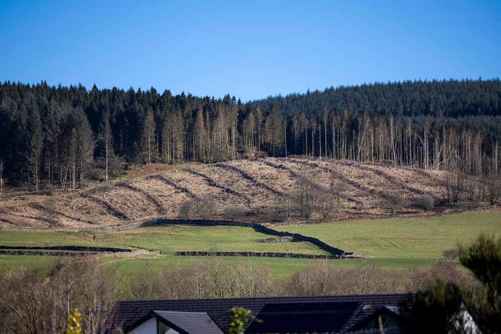 Additional image 6 of 4 bed detached house for salePlot 2, Burnock Court, Ballplay Road, Moffat DG10