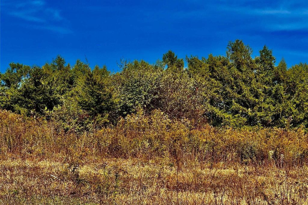 Property photo 2 of 7 <Alttext/>