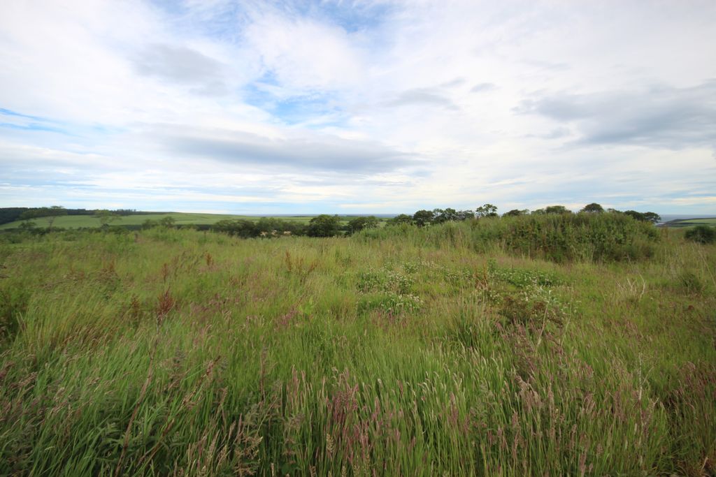 Property photo 1 of 4