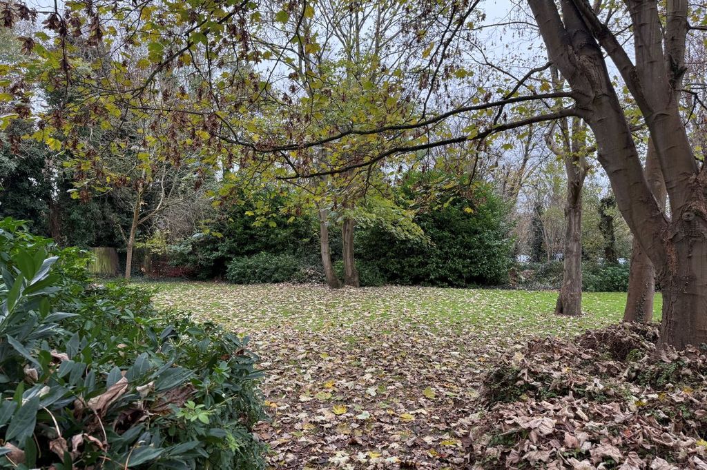 Property photo 3 of 12