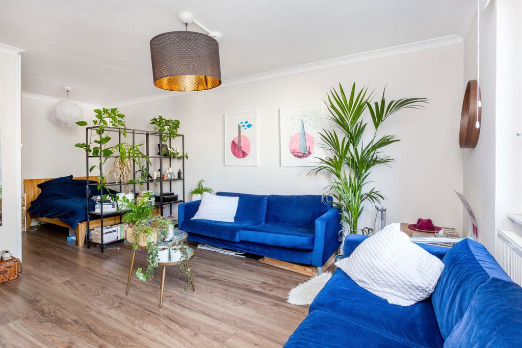 Property photo 1 of 11 8 Belgimported Image