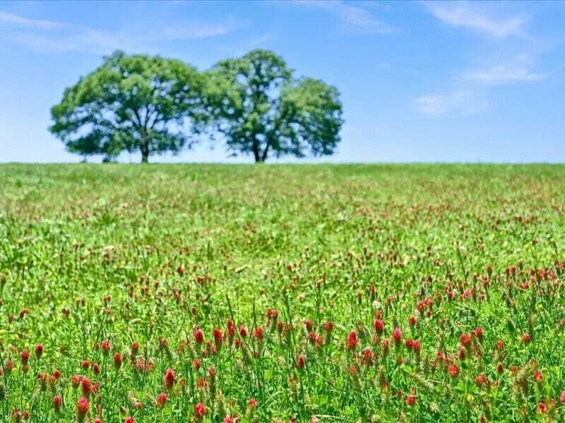 Property photo 2 of 31 <Alttext/>