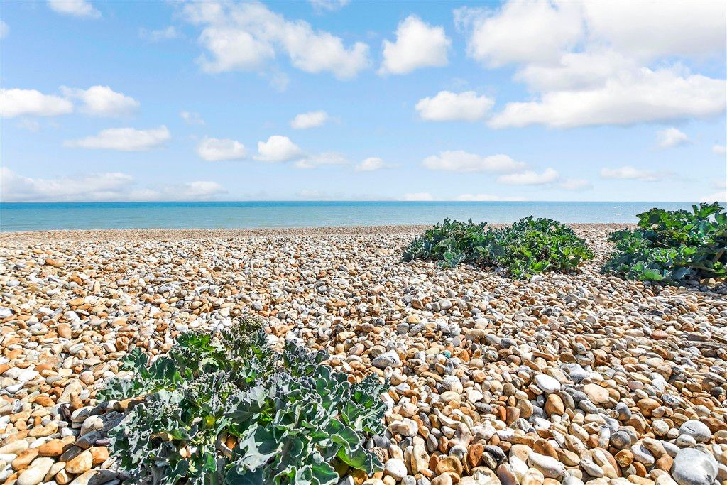 Property photo 3 of 10 Surrounding Area