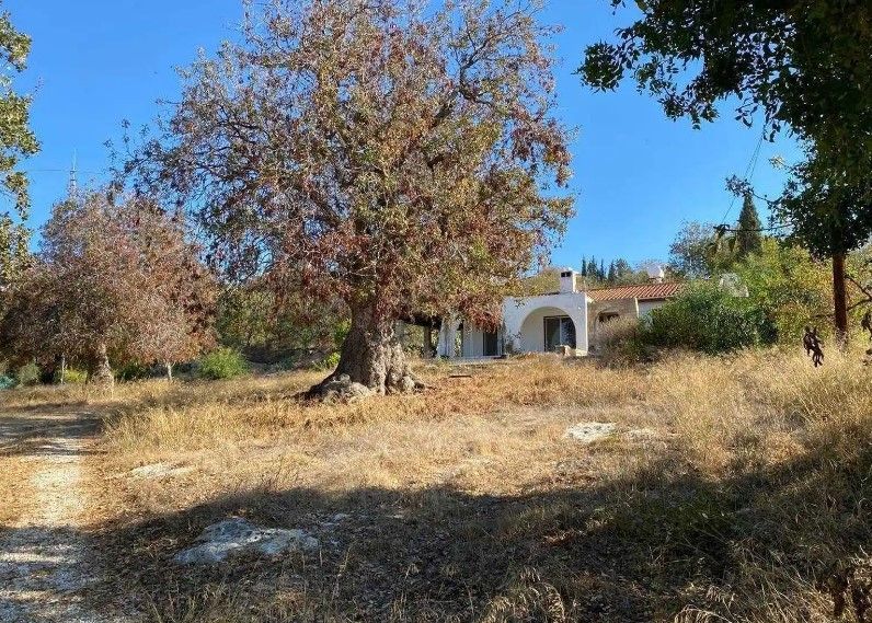 Property photo 1 of 1