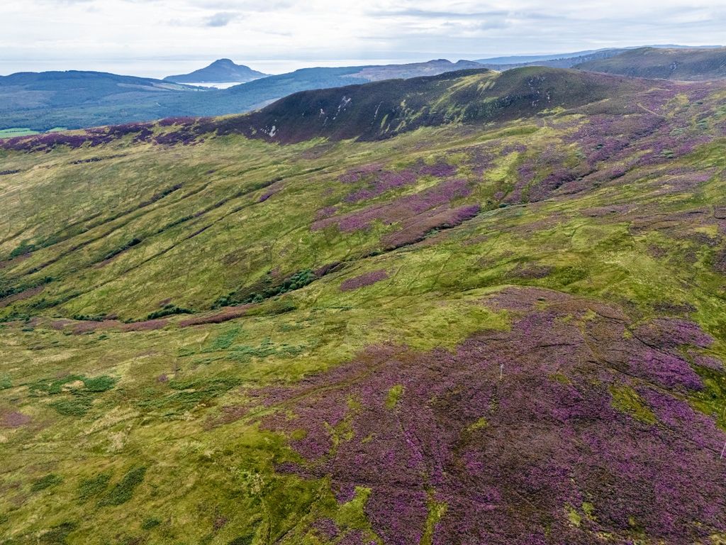 Property photo 1 of 29 4277910