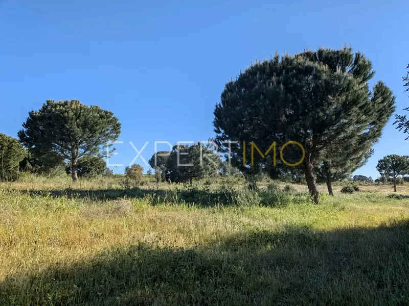 Property photo 2 of 8 Img 1