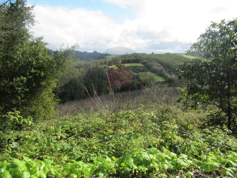 Property photo 1 of 30