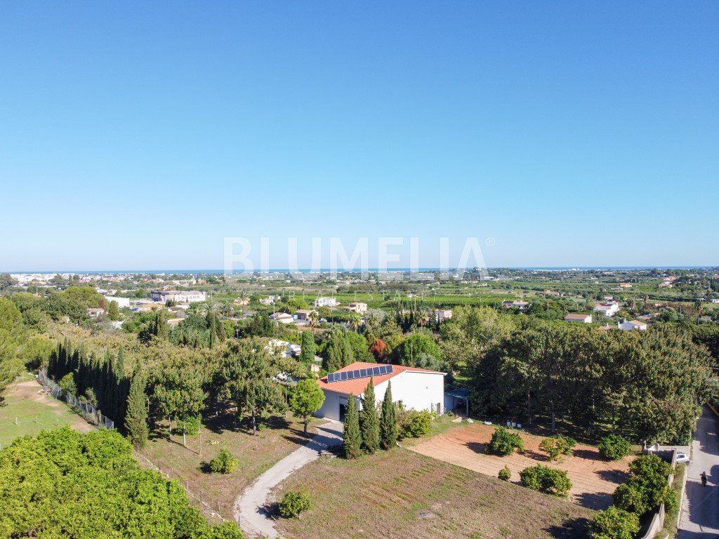 Property photo 1 of 37 12,000 m² Finca In Pedreguer With Housing And Great Investment Potential.