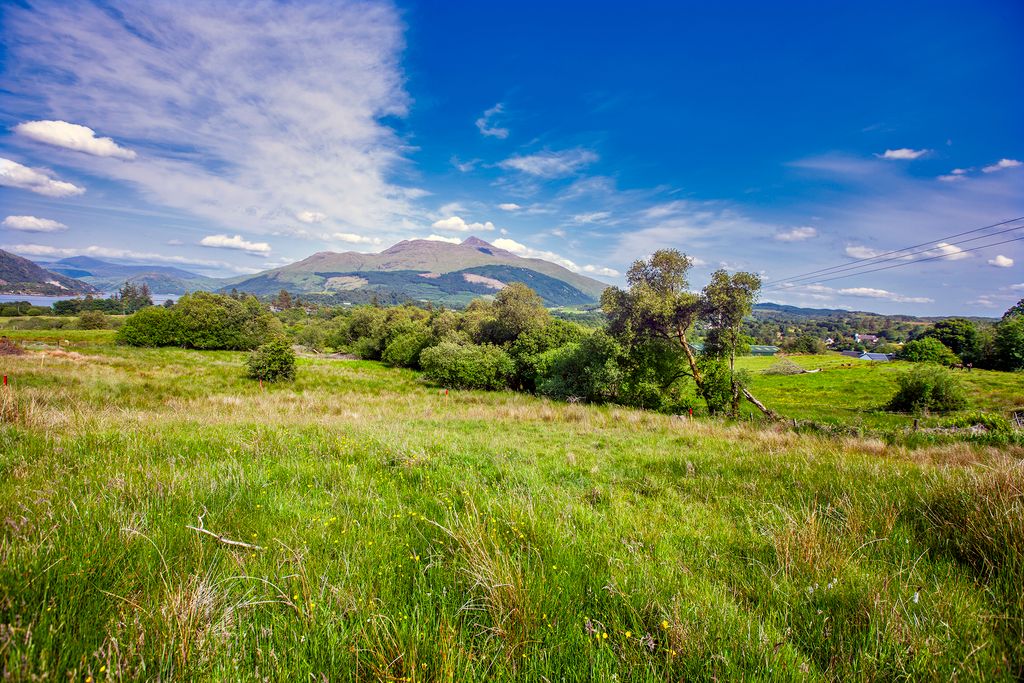 Property photo 3 of 4