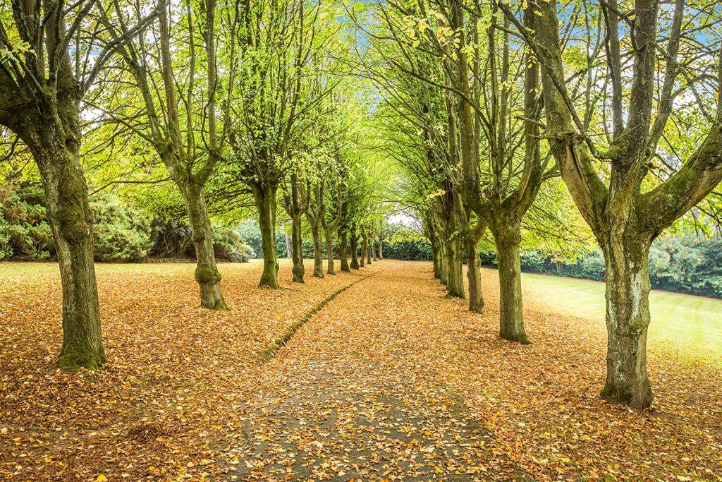 Property photo 3 of 8 Picture No. 07