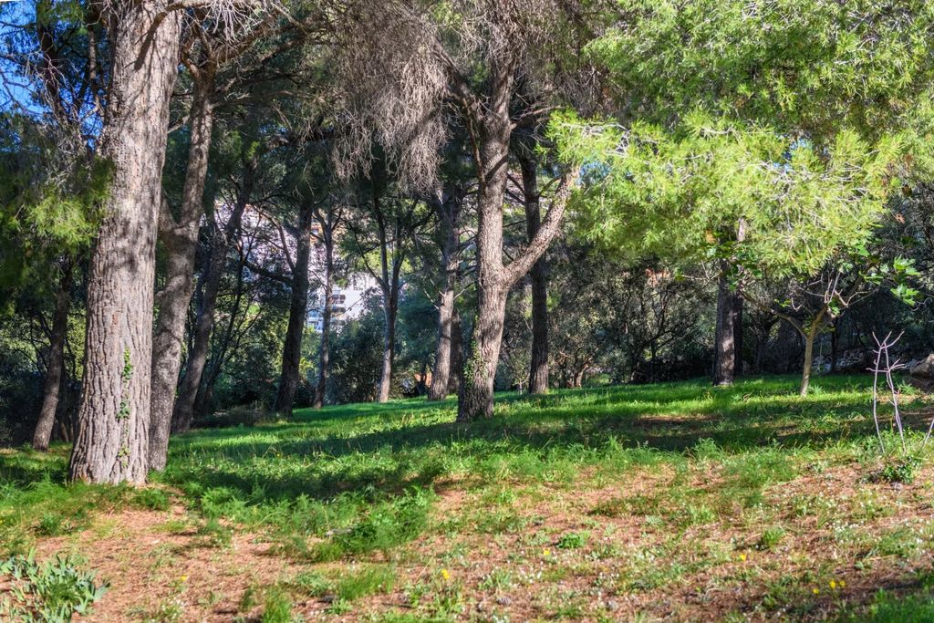 Property photo 2 of 3