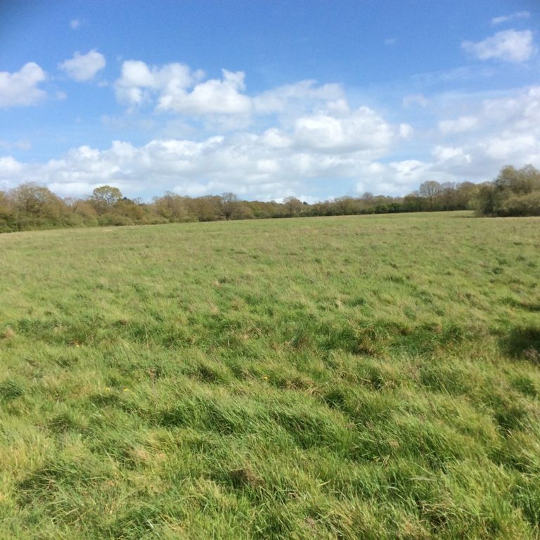 Property photo 3 of 22 Picture No. 14