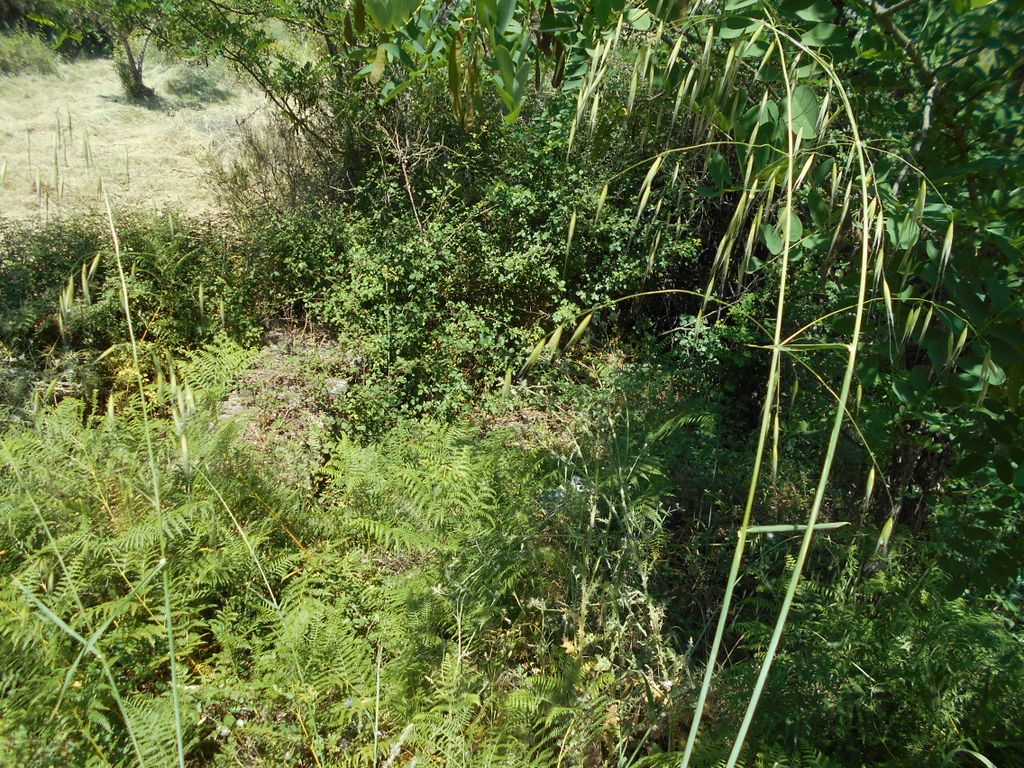 Property photo 3 of 4