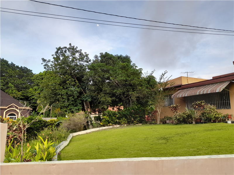 Property photo 3 of 14 Front Lawn And Water Tank To Left With Fruit Trees