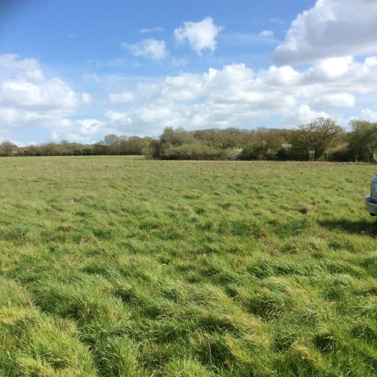 Property photo 2 of 22 Picture No. 13