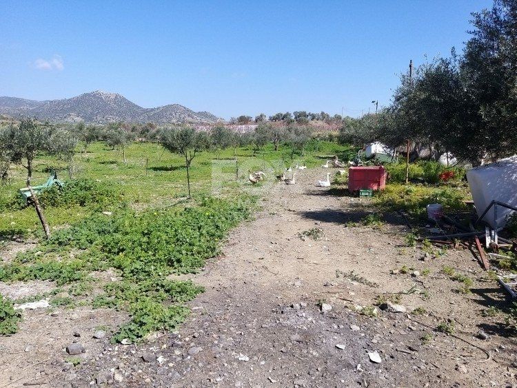Property photo 3 of 25