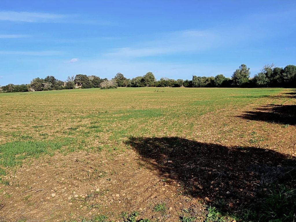 Property photo 2 of 11 1.1-Min.Jpg