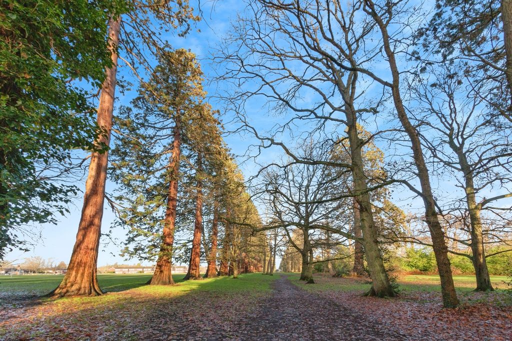 Property photo 2 of 20 Pbox-Img.Jpg