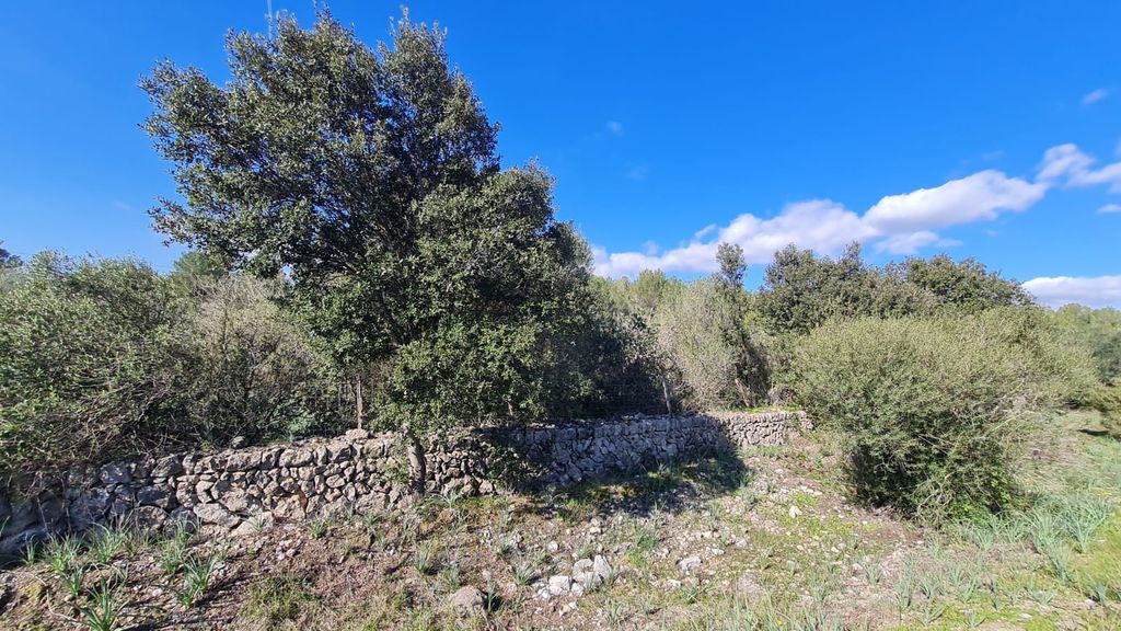 Property photo 3 of 5 6A092B53-E04E-44E6-8E6E-18385A740c23.Jpg