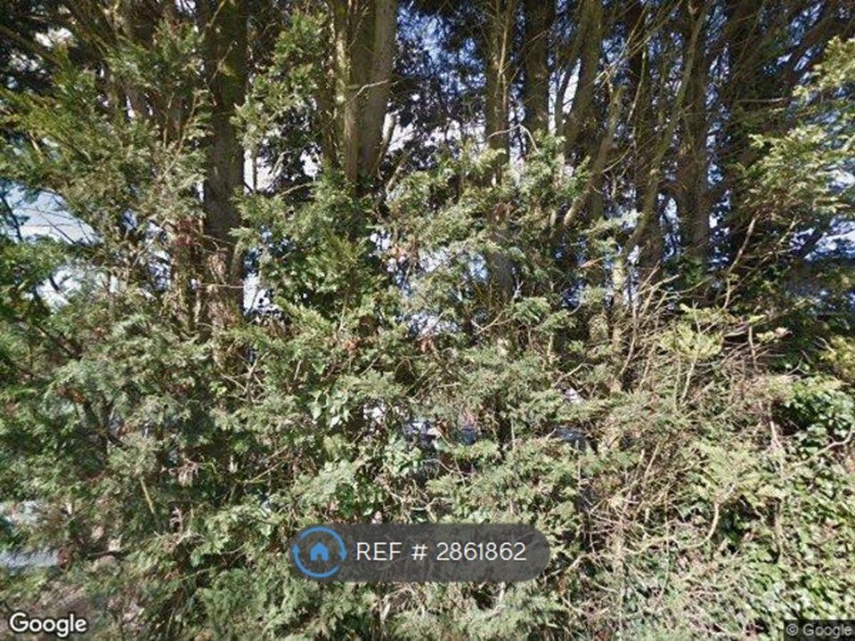 Property photo 1 of 1