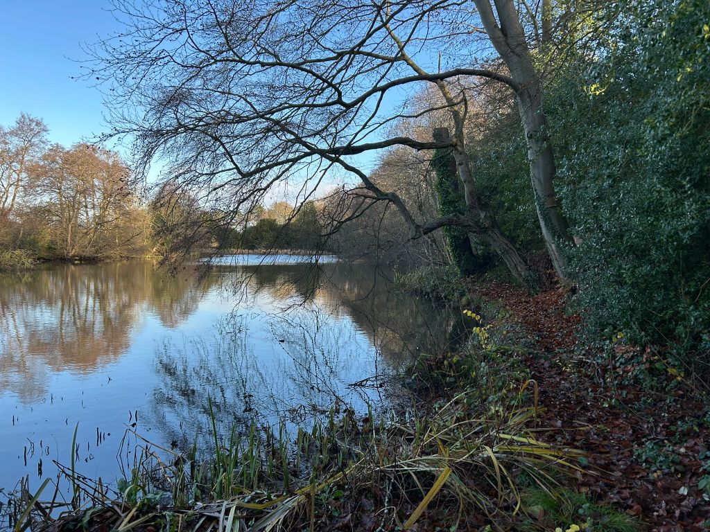 Property photo 1 of 6 Img_6127