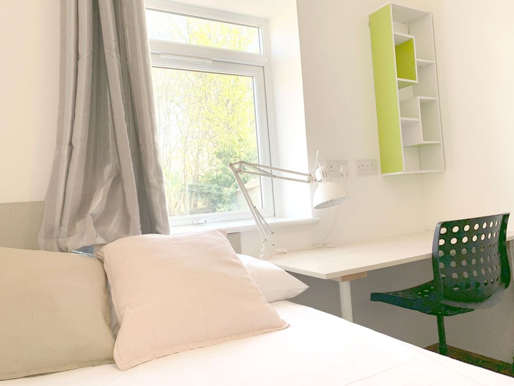 Property photo 1 of 56 A Bright And Tidy Single Bedroom Featuring A Comfo...