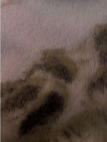 Property photo 1 of 1 Photo 1