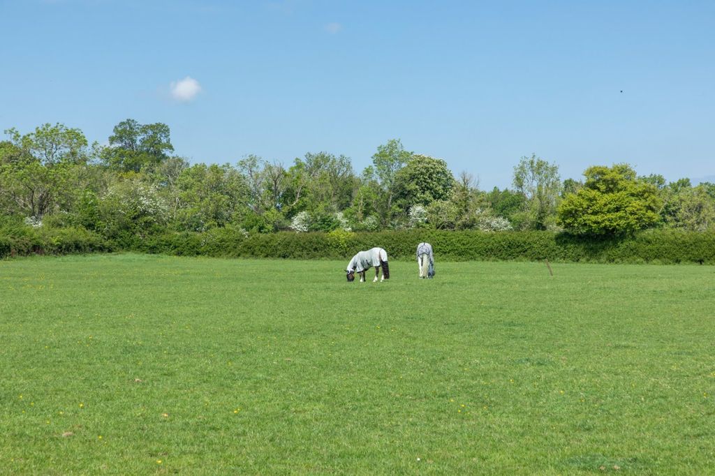 Additional image 8 of Land for saleBarnsley, Cirencester, Gloucestershire GL7