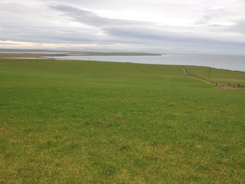 Property photo 1 of 3 Main