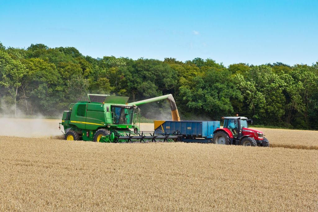 Property photo 3 of 4 Picture No. 24