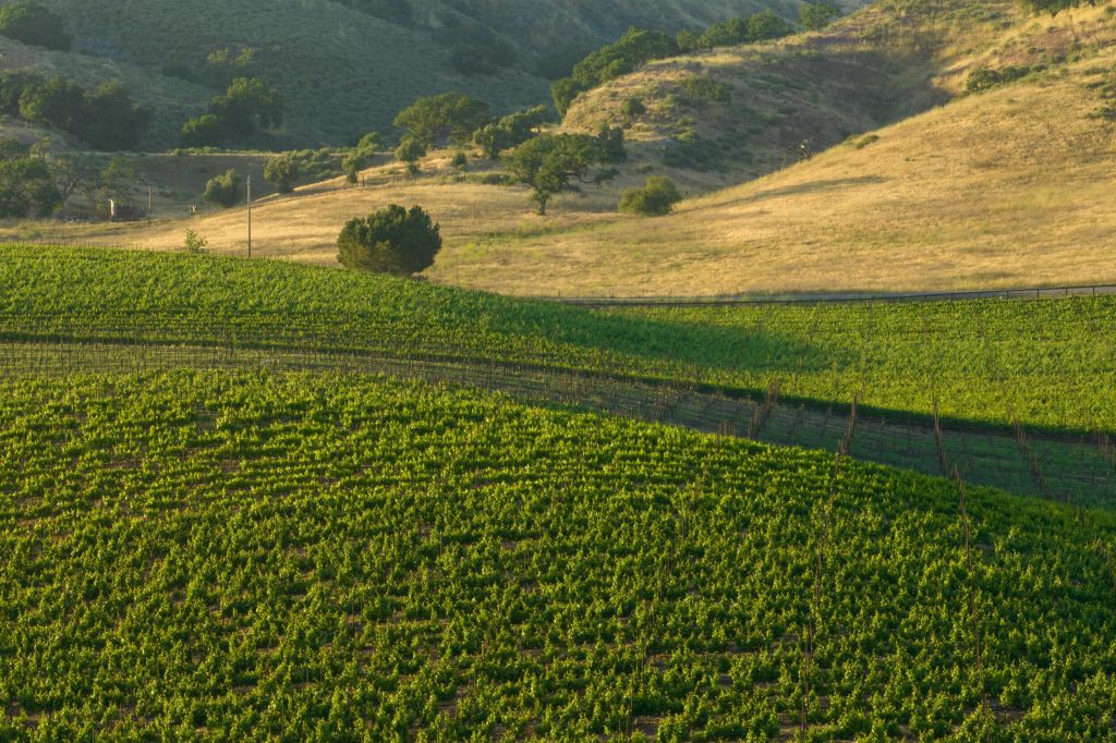 Property photo 2 of 10 <Alttext/>