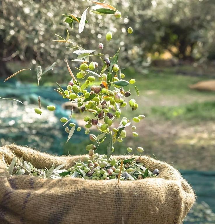 Property photo 2 of 3