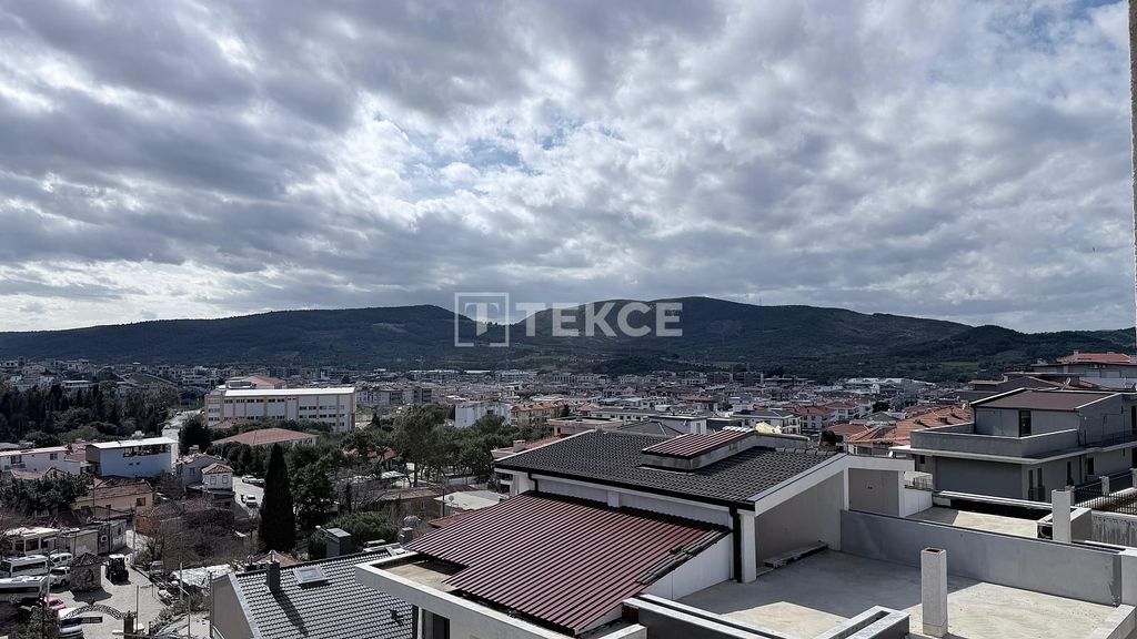 Property photo 3 of 54