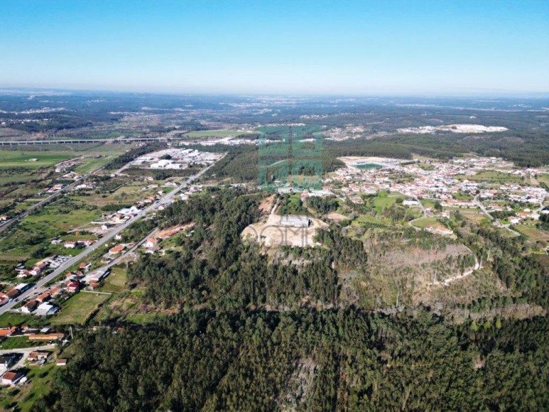 Property photo 3 of 59