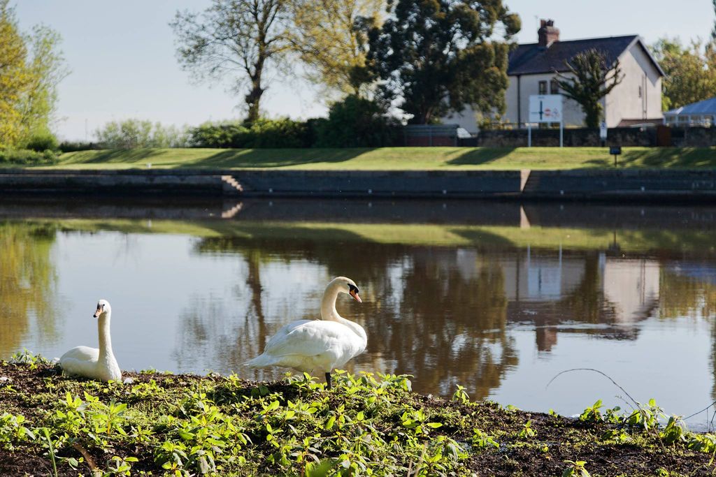Property photo 2 of 15 Riverside Walks