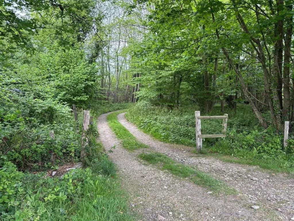 Property photo 3 of 5 Access Road - Udimore Road Copy.Jpg