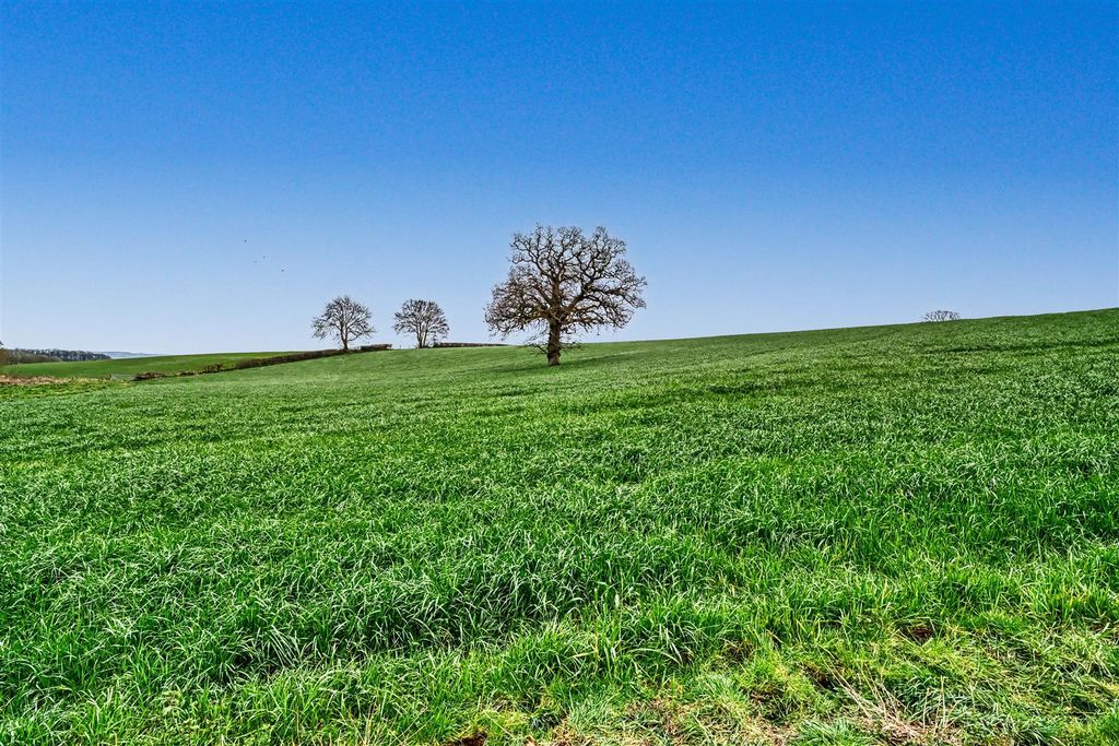 Property photo 2 of 18 View