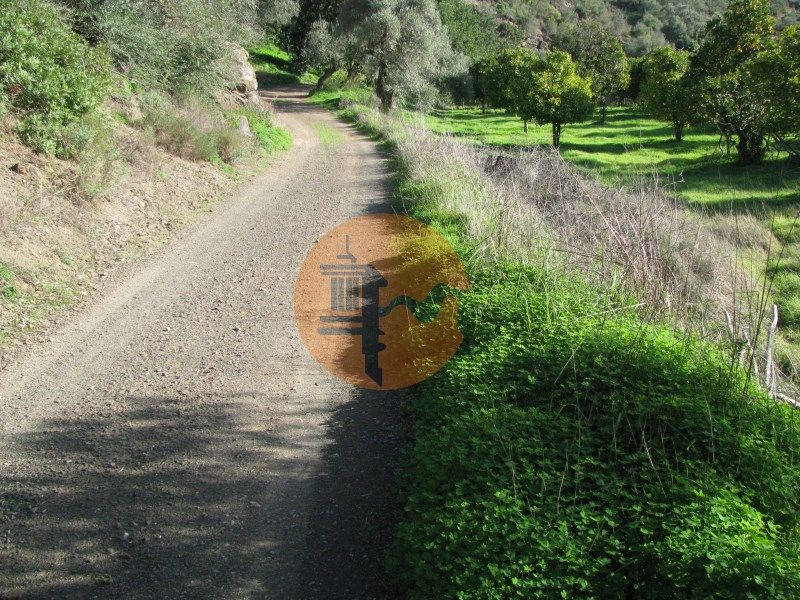 Property photo 3 of 30