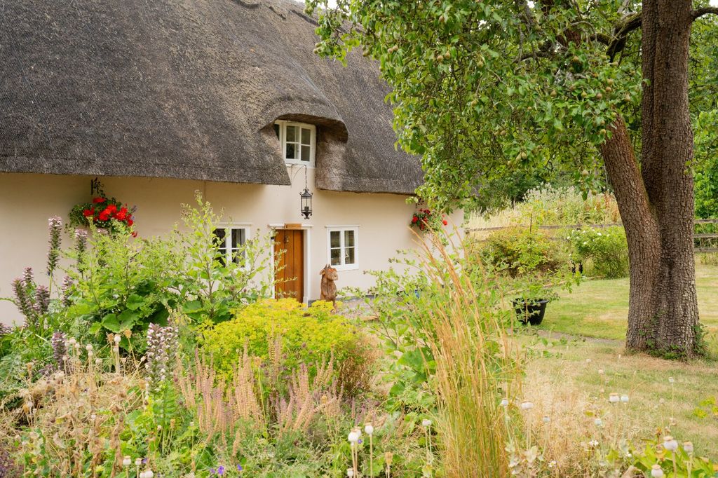 Property photo 2 of 30 Picture No. 54