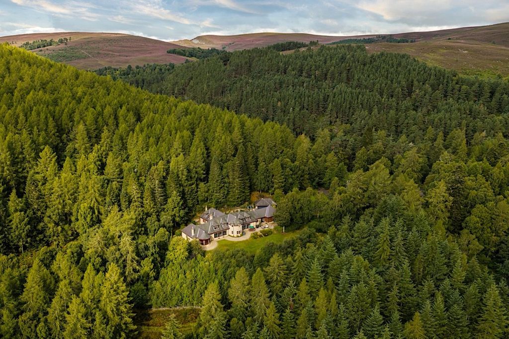 Property photo 1 of 20 Aerial Image