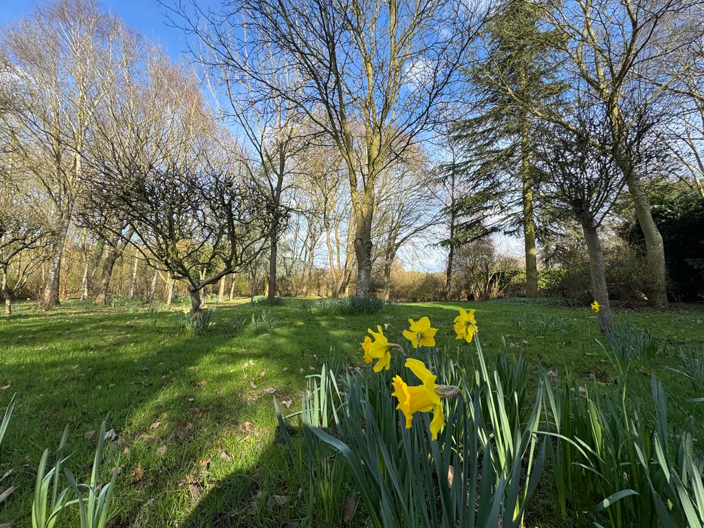 Property photo 3 of 23