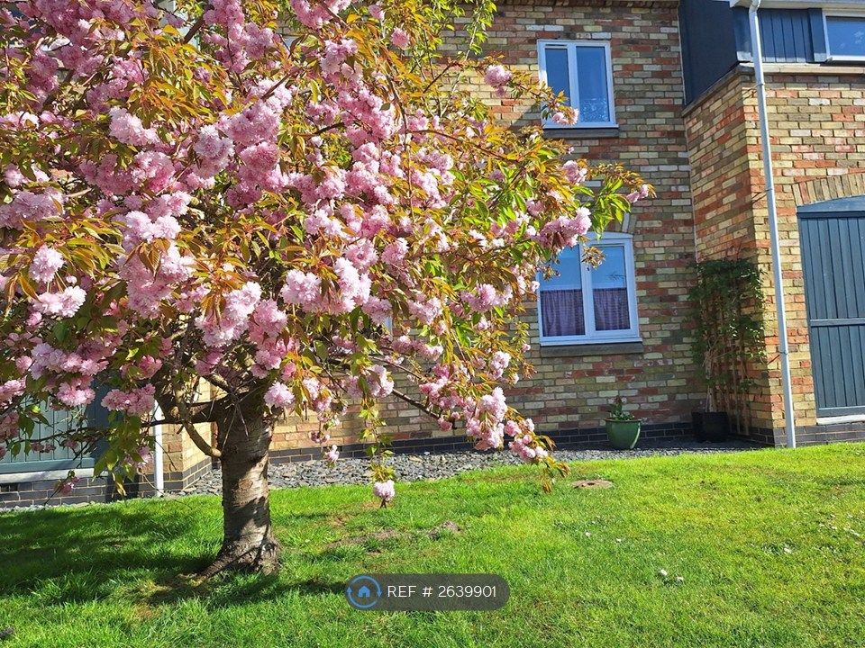 Property photo 3 of 6 Front Garden