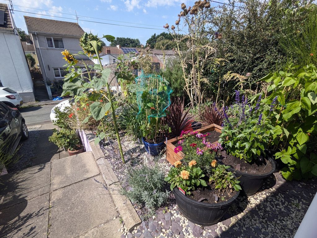 Property photo 3 of 19 Not Specified
