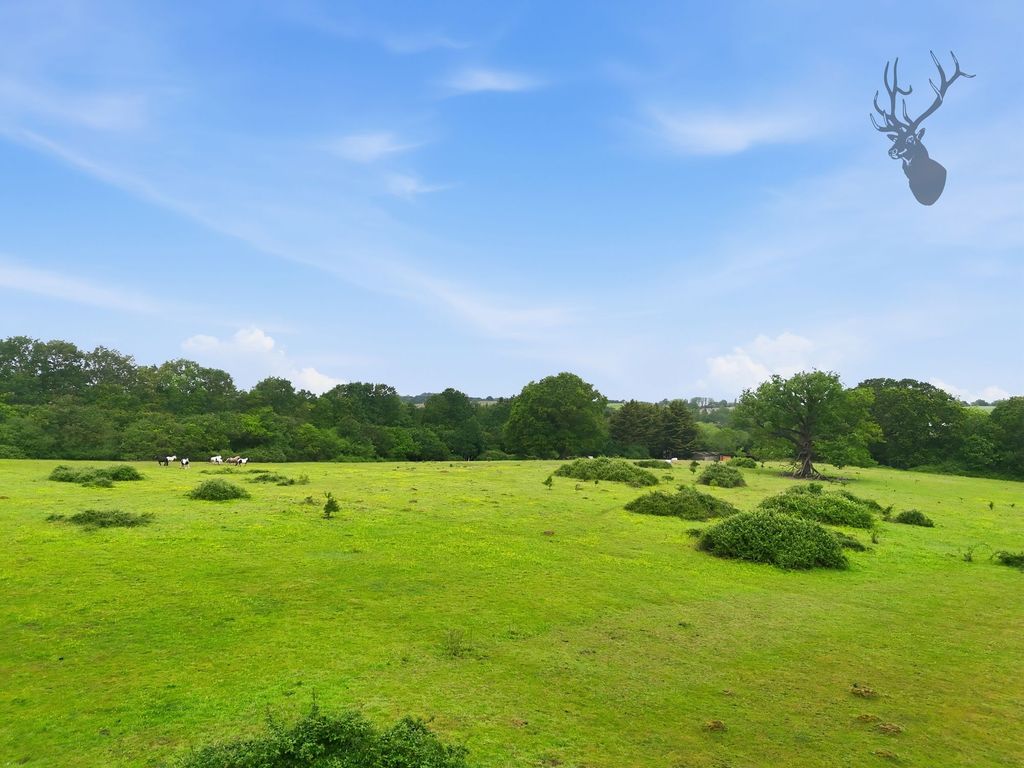 Additional image 16 of Land for saleOak Hill Road, Stapleford Abbotts RM4