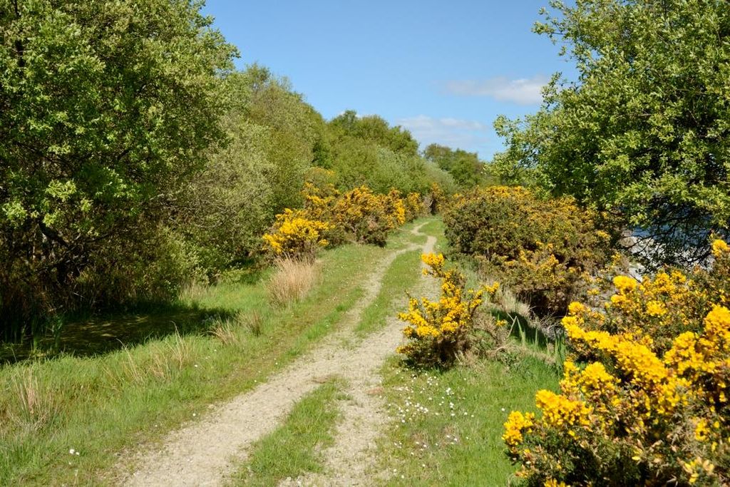 Additional image 8 of Property for saleInchmarnock Island, Isle Of Bute, Argyll And Bute PA20